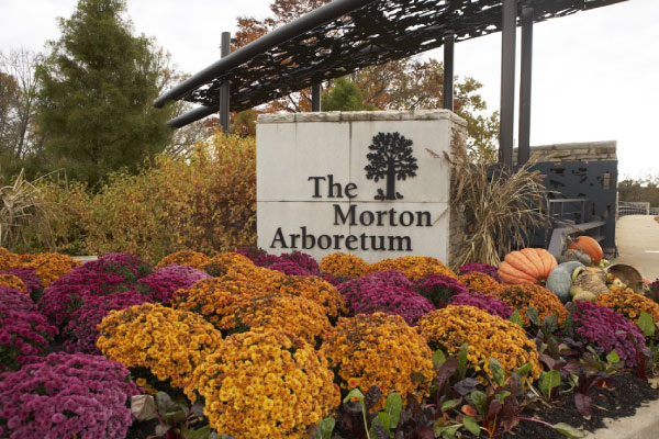 Morton-Arboretum
