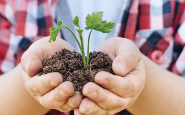 A child in a plaid shirt holds a small plant with fresh green leaves in cupped hands, nestled in rich soil.
